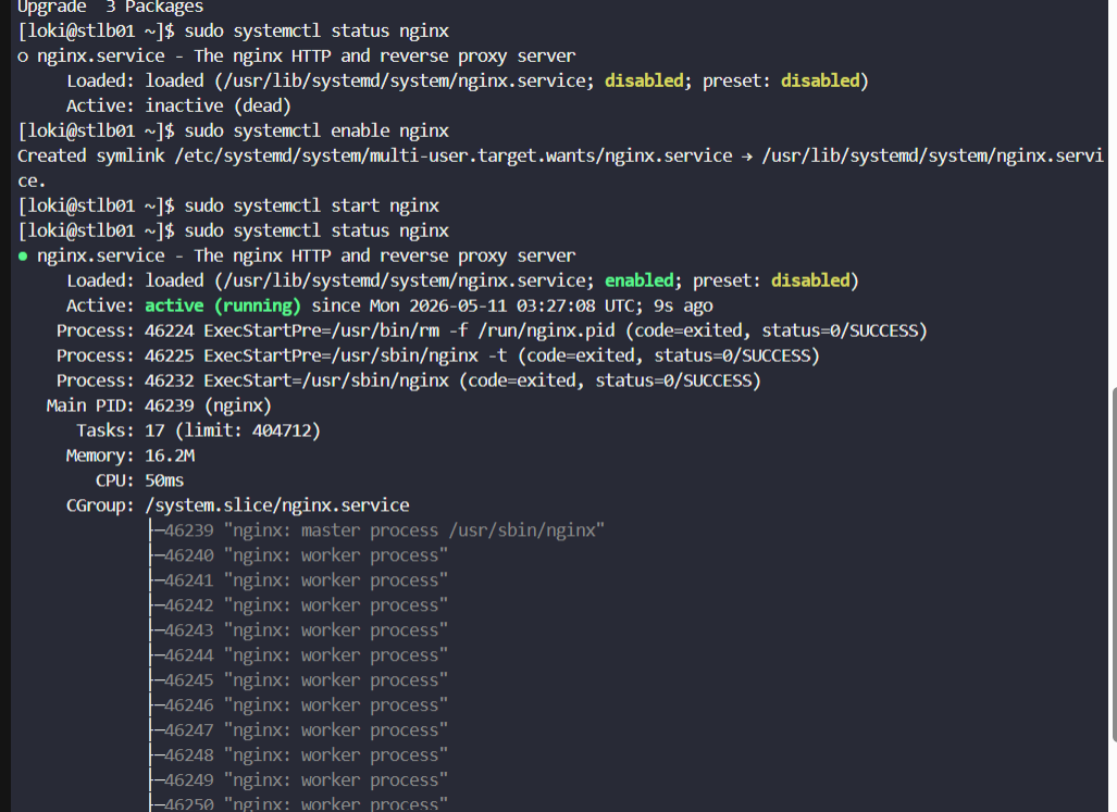 Nginx Installation
