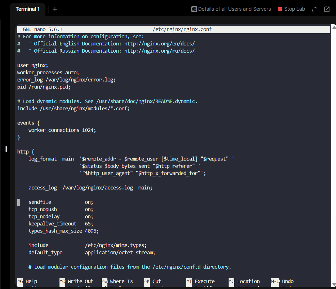 Nano Editor
